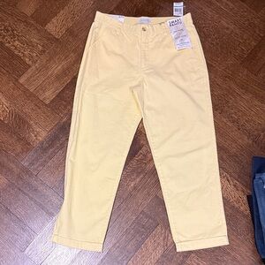 Curve appeal smart pants